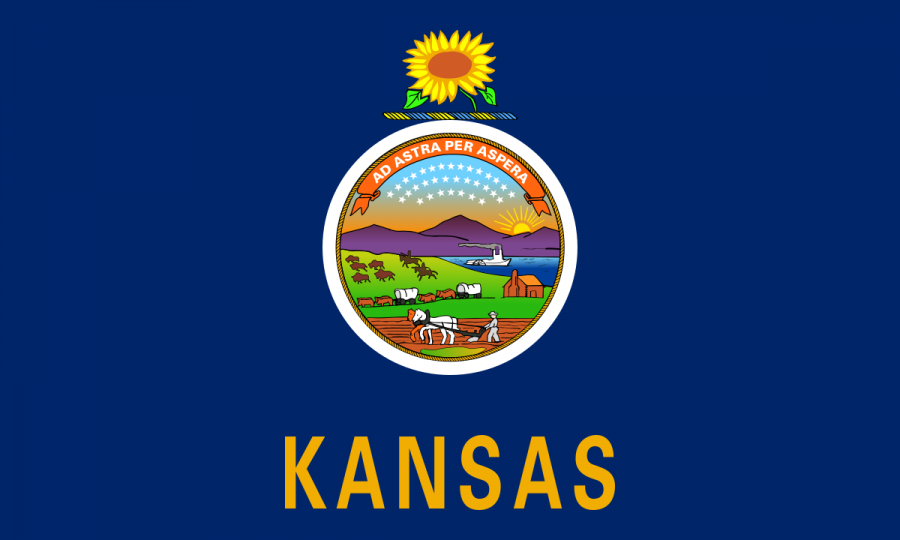 This is the Kansas Flag.
https://en.wikipedia.org/wiki/Kansas