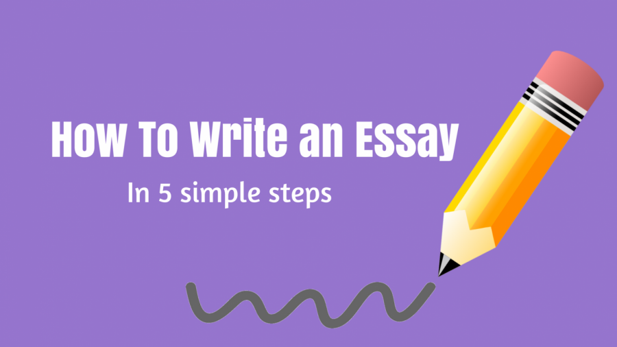 write an essay on sound education for all