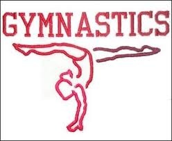 Gymnastics: Top 3 Gymnasts of all Time