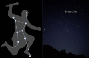 hercules son of zeus constellation