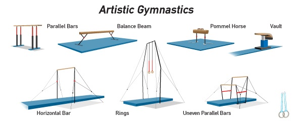 equus-cc-database-gymnastics-poses