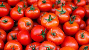 These are tomatoes, the so called poisonous fruit.