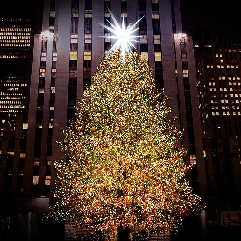 The big tree in Rockefeller Center 