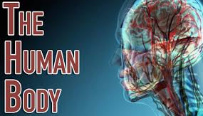 5 Wonders Of The Human Body, Solved(Finally)