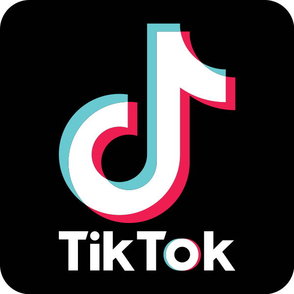 How To Make a TikTok