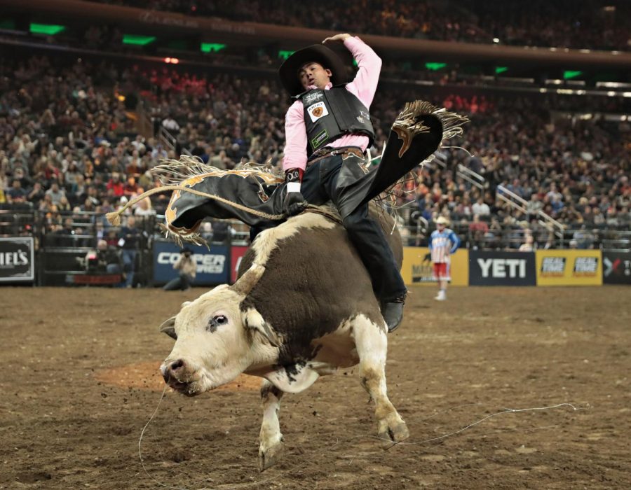 Bull riding!!