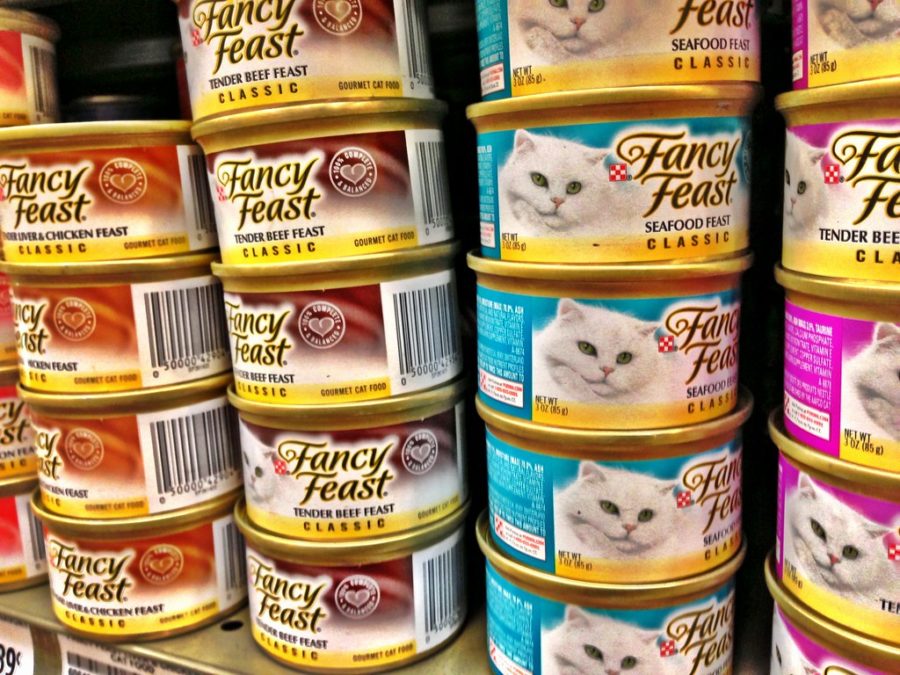 What cat food does your cat need?