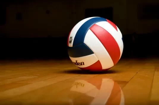 This is a picture of one of the volleyballs used at the tournament.