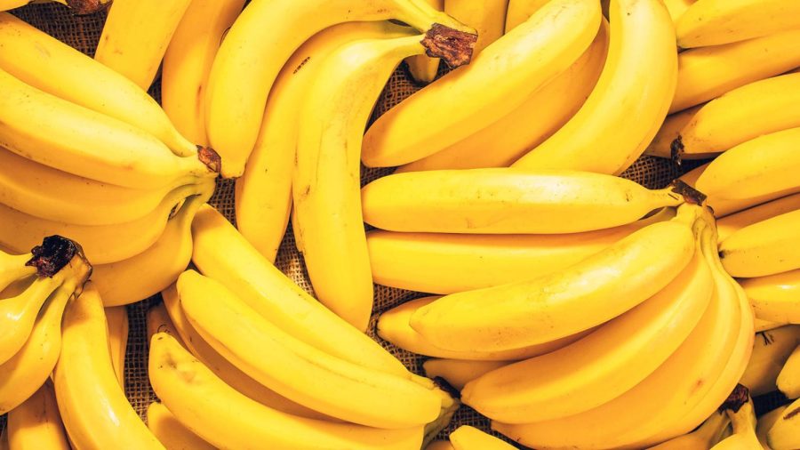 a+bunch+of+bananas+
