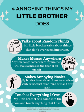 4 Annoying Things My Little Brother Does