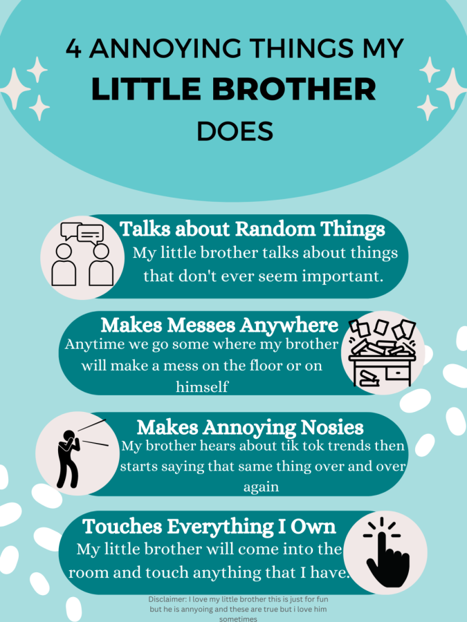 4 Annoying Things My Little Brother Does