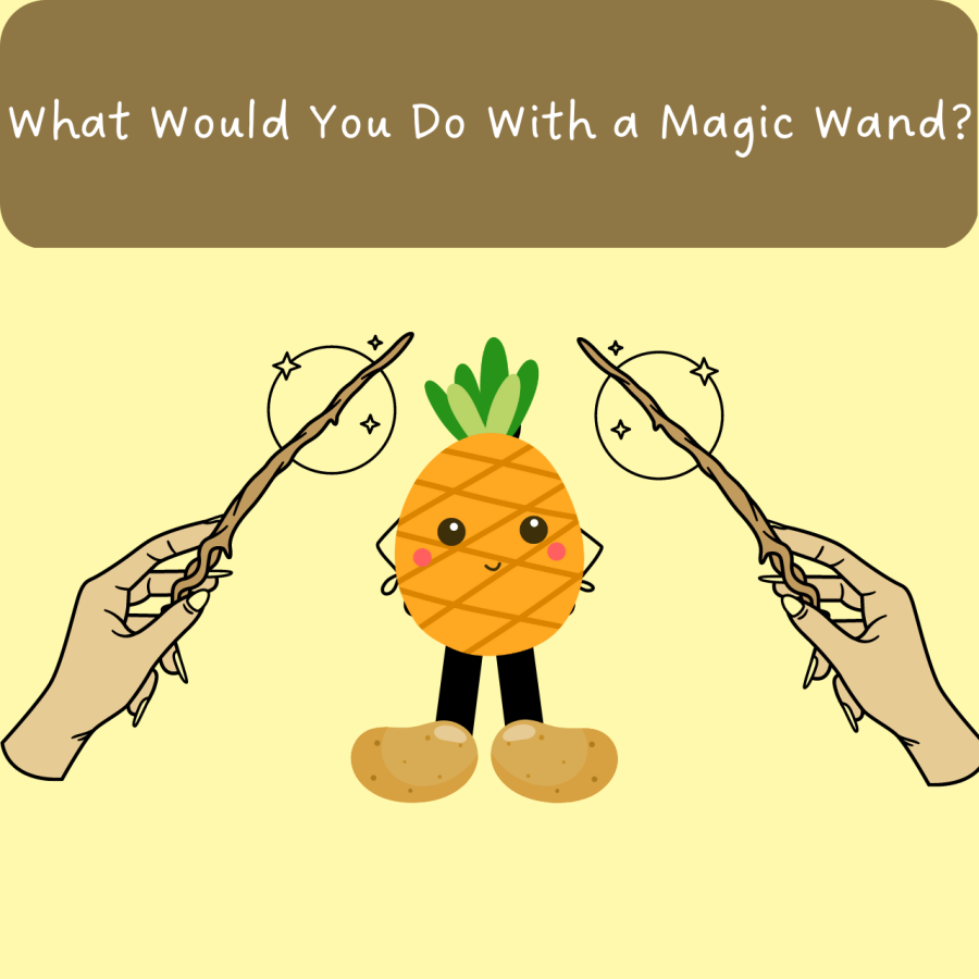 What Would You Do If You Had A Magic Wand