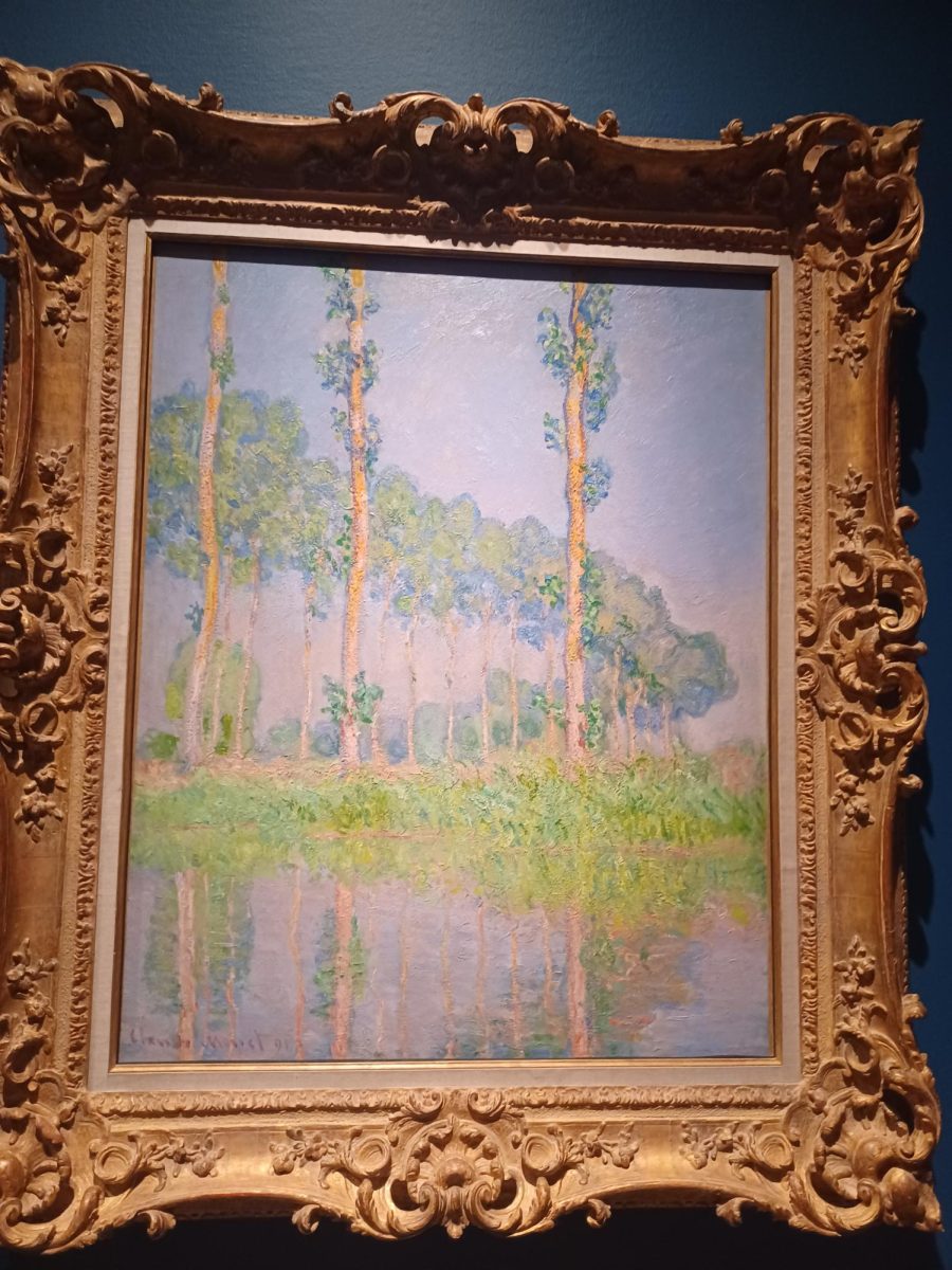 A+Monet+in+the+Dallas+Art+Museum.