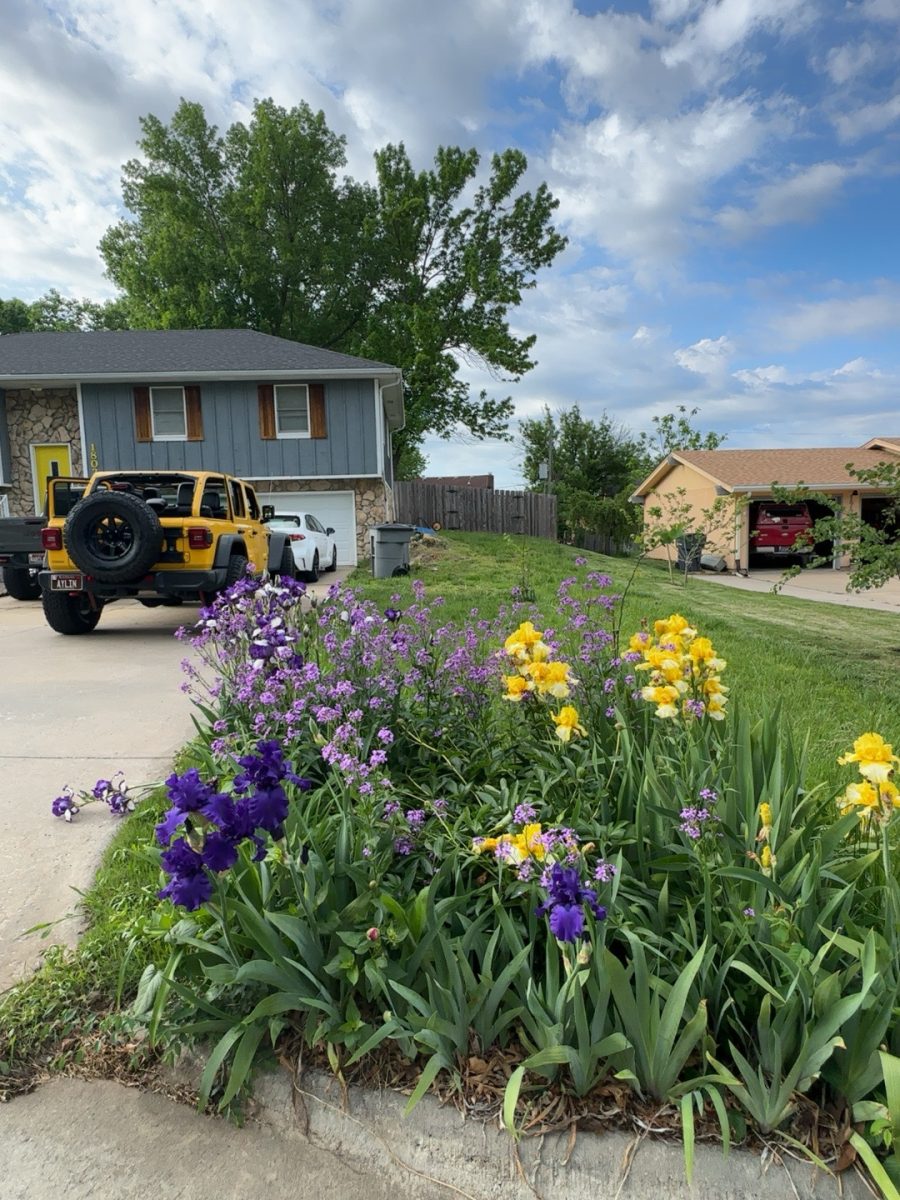 At my house when the weather gets warmer the flowers start showing up. you can also see our Jeep in the back. 