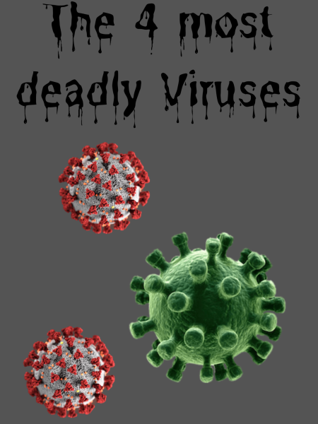 The 4 Most Deadly Viruses