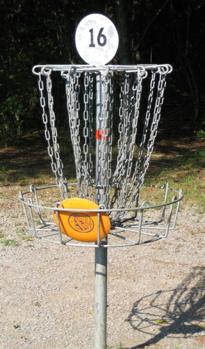 Disc Golf Basket