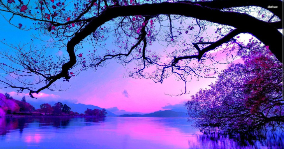 A Purple Sunset