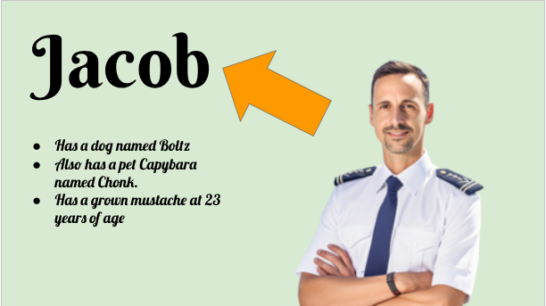 A Day in a Life of a Pilot