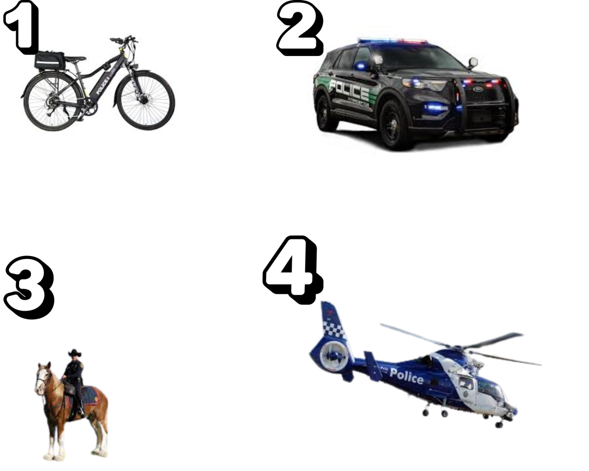The four types of transportation