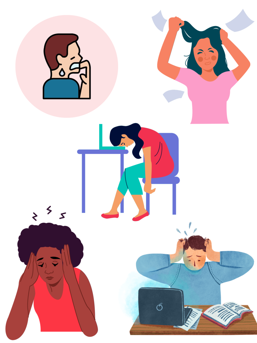 How Stress Affects the Body