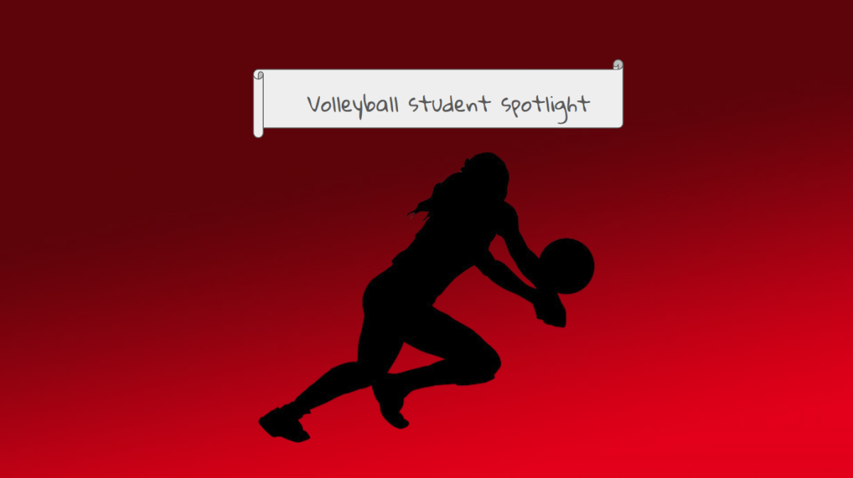 volleyball student spotlight