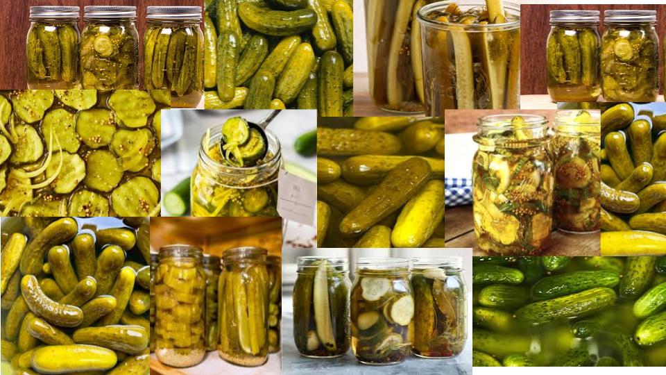 4 Best Things To Put Pickles On