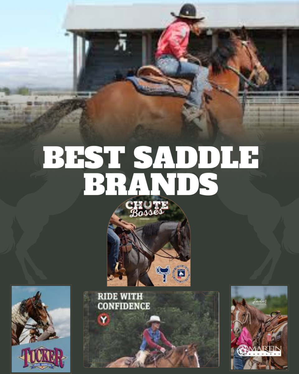 Saddles