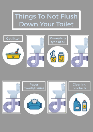 Info graphic What Not To Flush Down Your Toilet