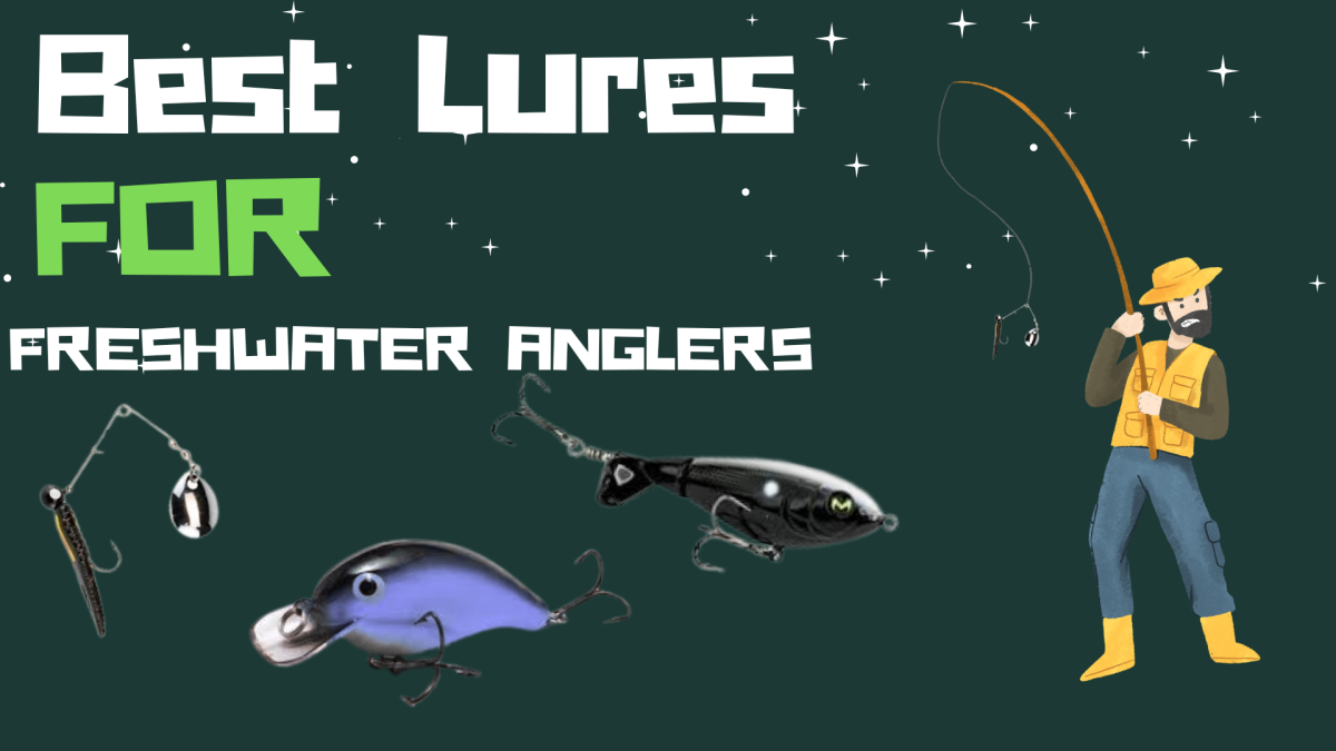Best Lures 4 Freshwater Anglers
