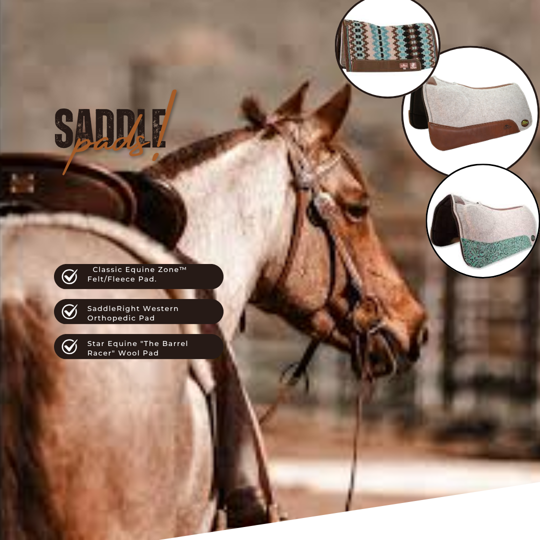 Best Saddle Pads!