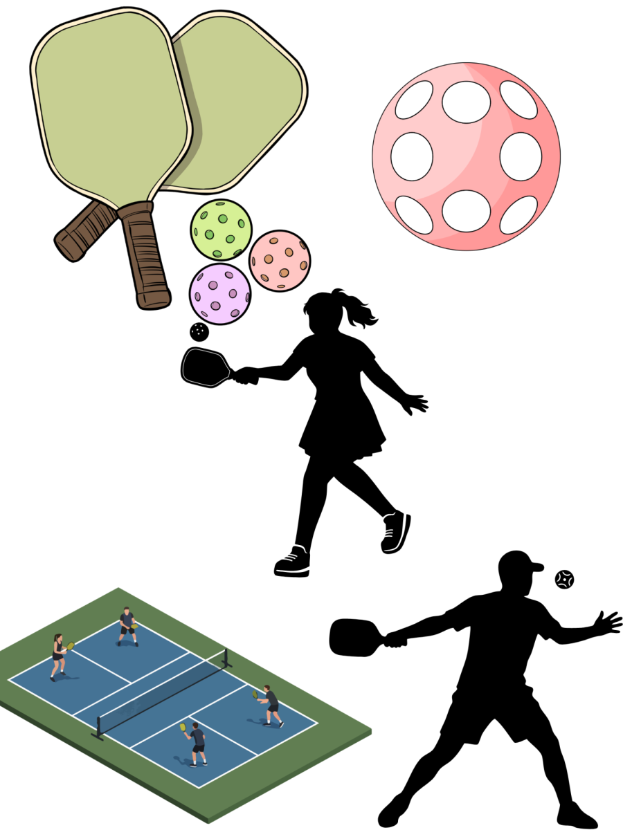 Pickle Ball Courts