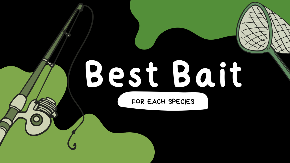 THUMBNAIL for Best Bait for Each Species