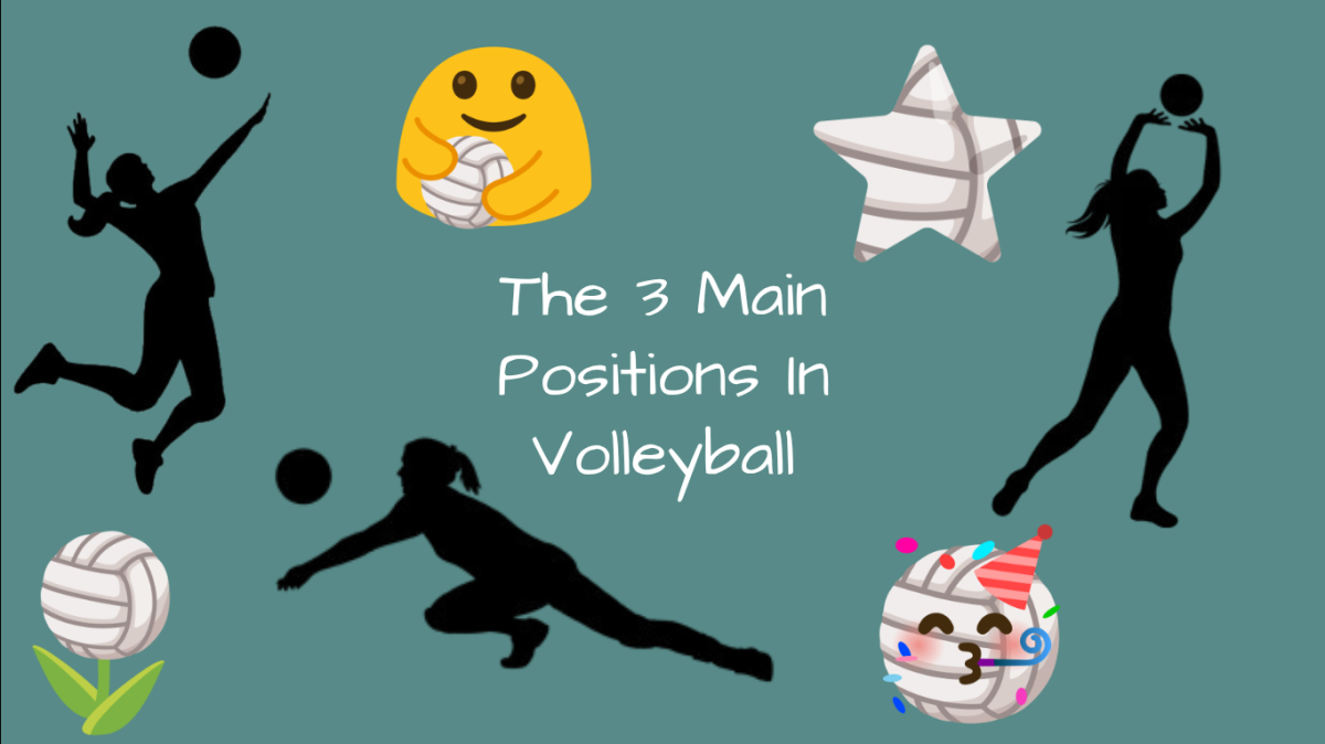 The 3 Main Positions In Volleyball 