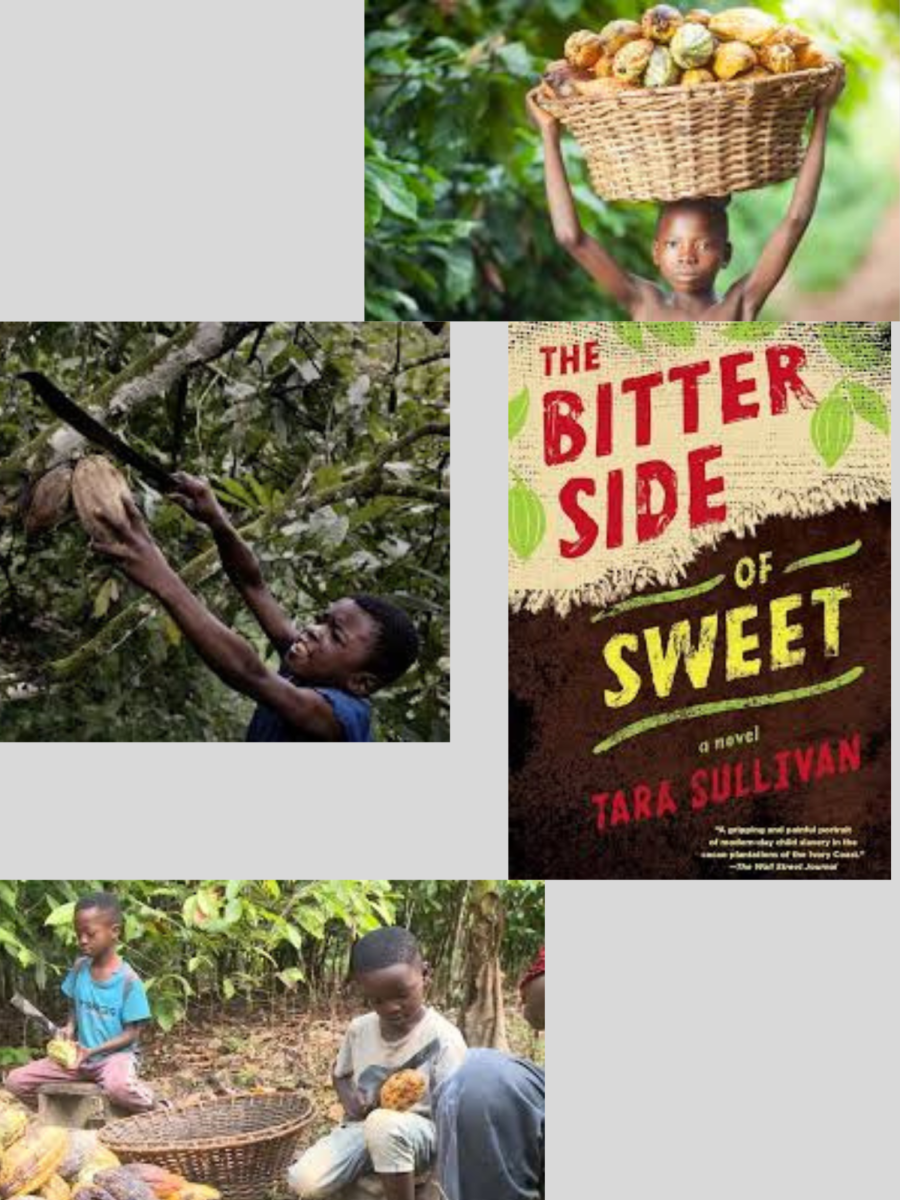 Child slaves working on cacao farms 
